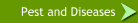 Pest and Diseases